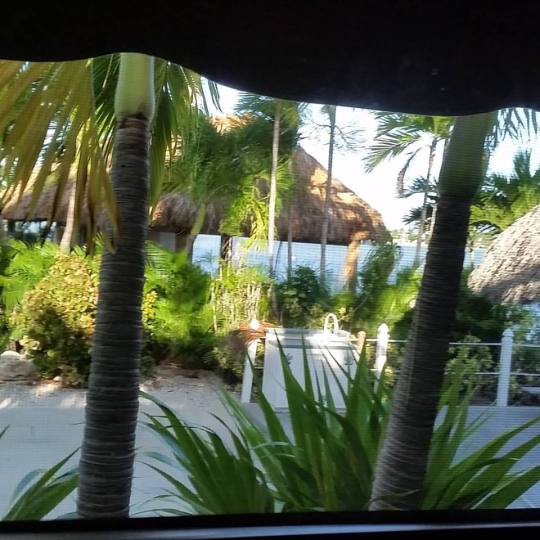 The view from my RV "office" at Bluewater Key RV Resort, Nov. 2015. 